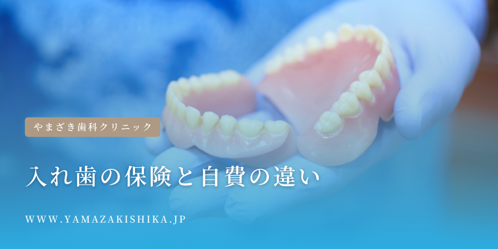 入れ歯の保険と自費の違い