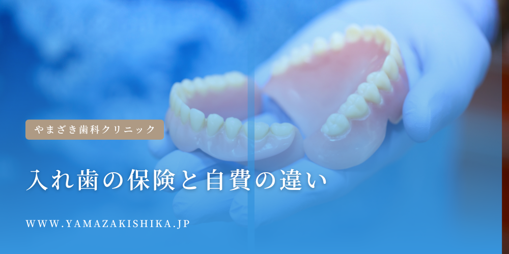 入れ歯の自費と保険の違い