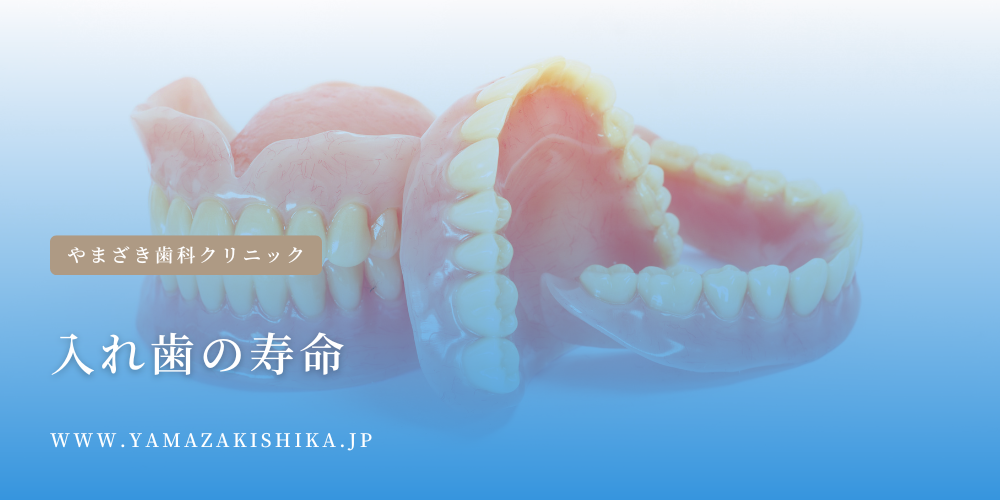 入れ歯の寿命の写真