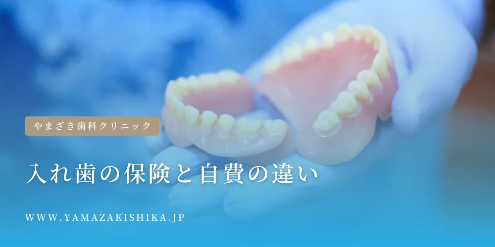 2024年5月28日_入れ歯の保険と自費の違い